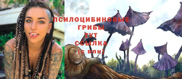 каннабис Абаза